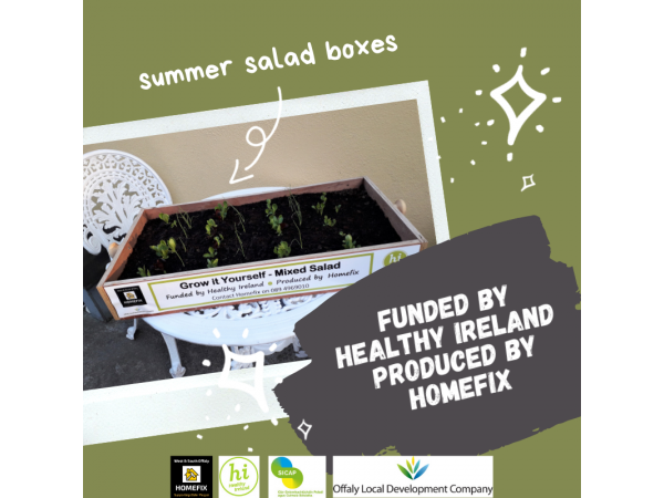 summer-salad-boxes